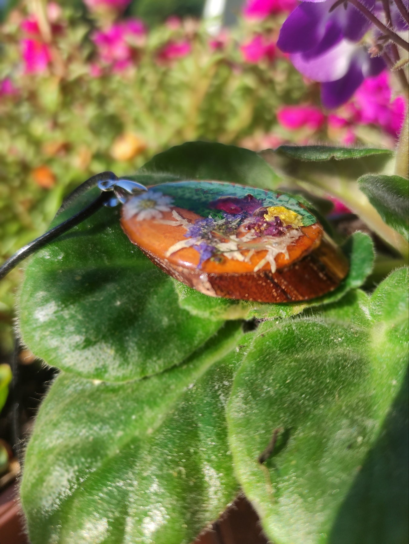 IMG-42156a9d2e89d0b849e7c5ab5f360e16-V