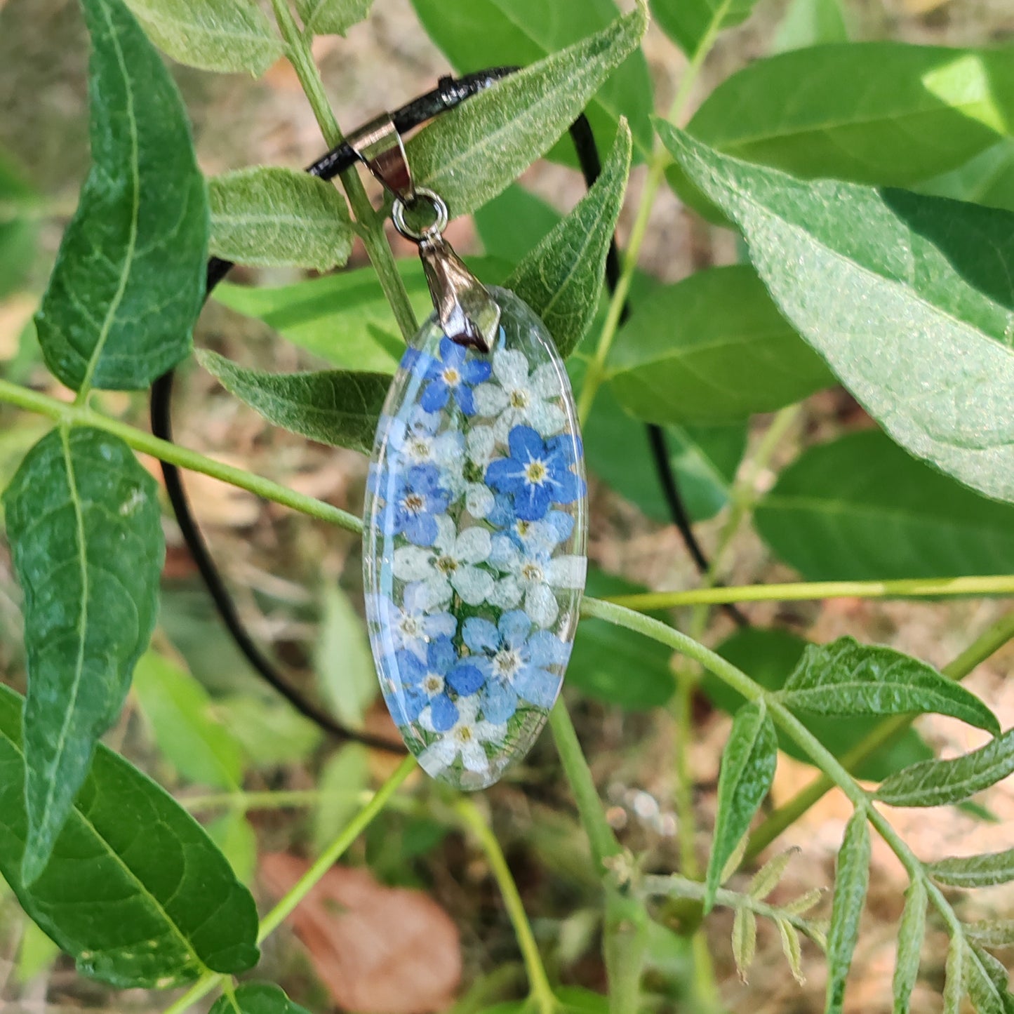 Горска приказка с незабравки