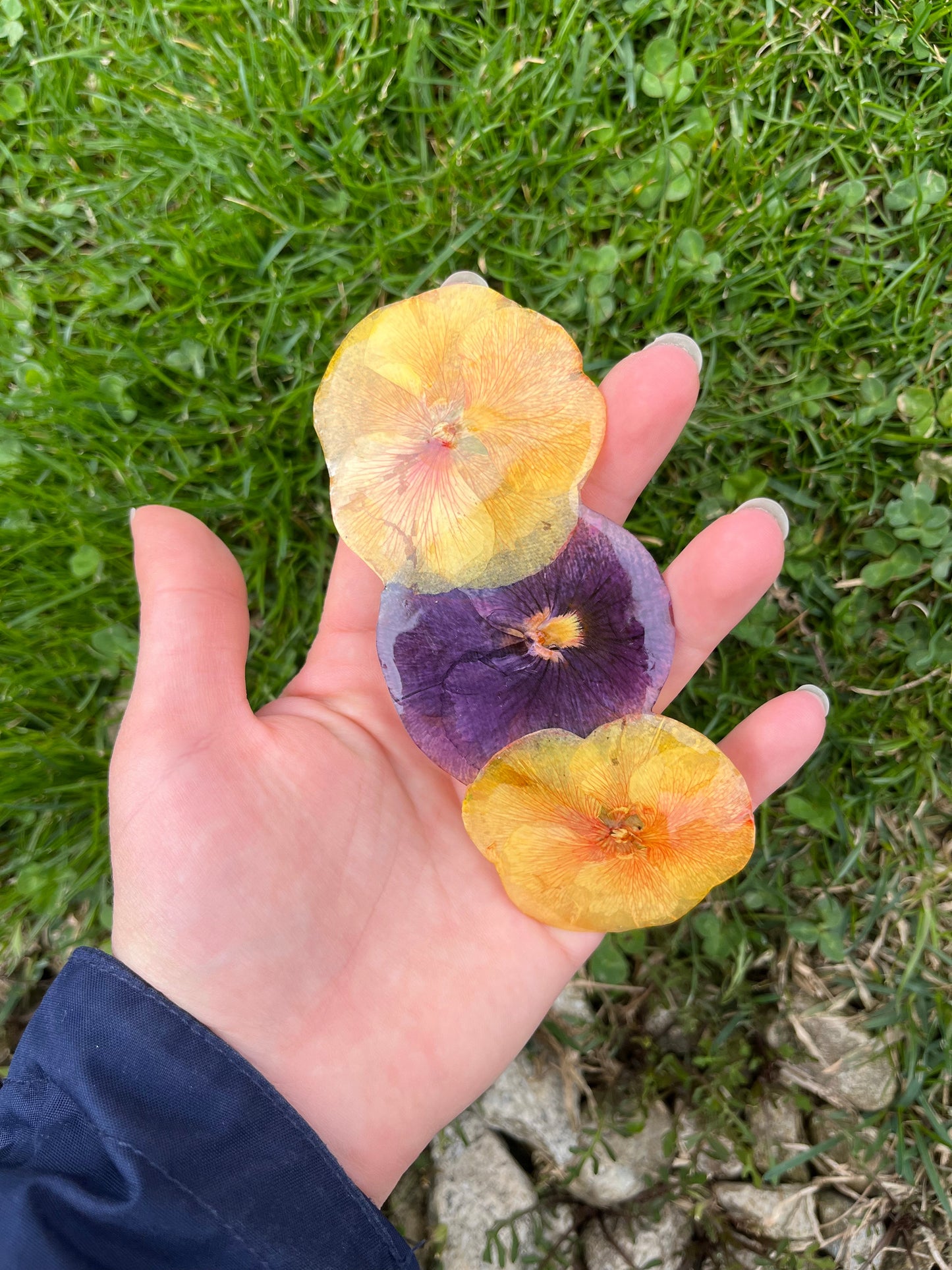 Шнола за коса с теменужки