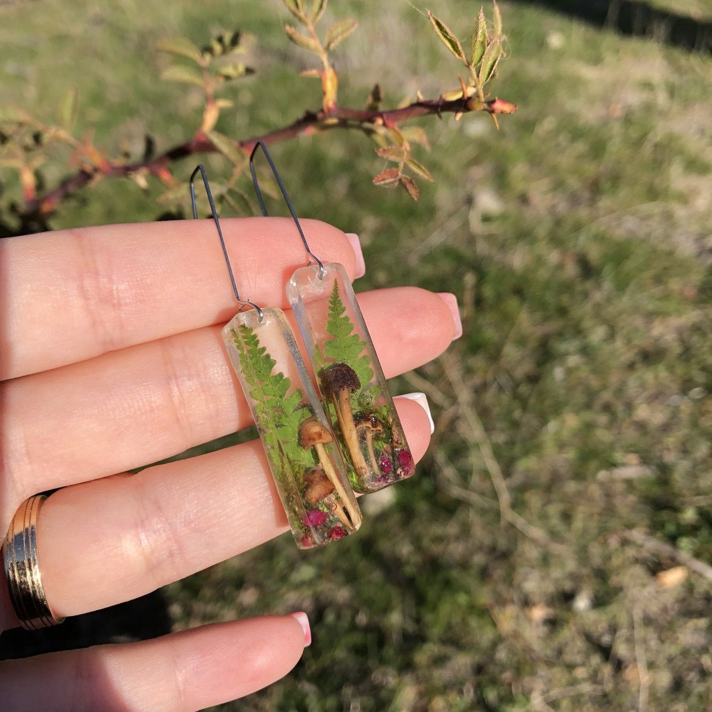 image_3102a0d9-8244-43da-be53-5575a6f9bff0_1512x