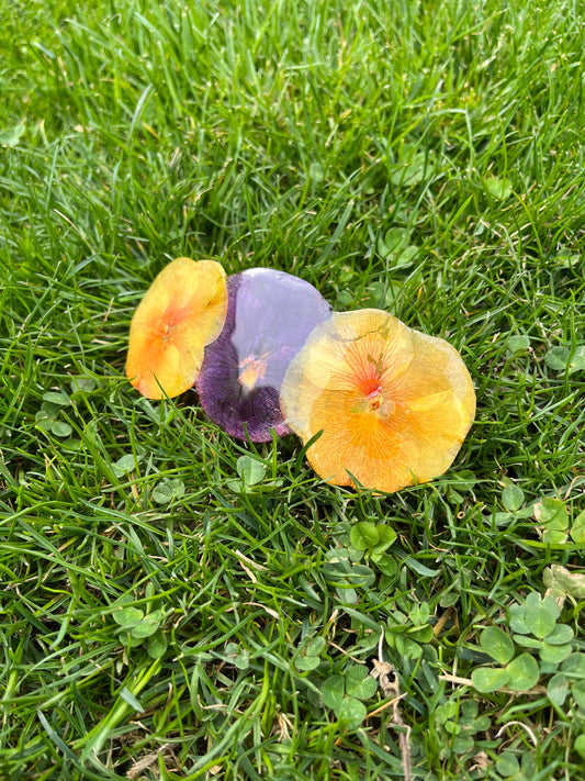 Шнола за коса с теменужки